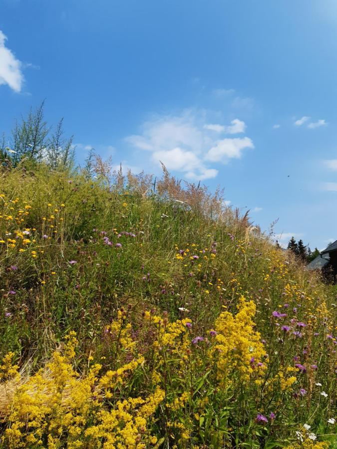 Troadkasten - Ferienhaus Am Bio-Bergbauernhof Aflenz Kurort Экстерьер фото